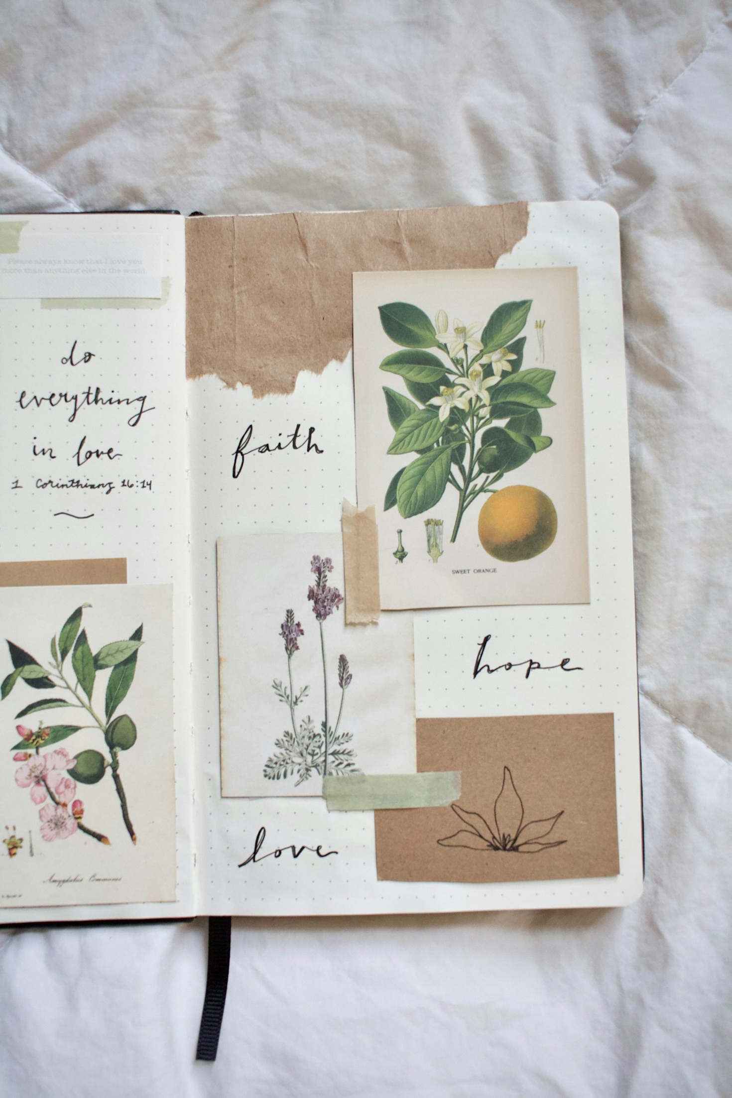 The Art of Mindful Living: My Experience